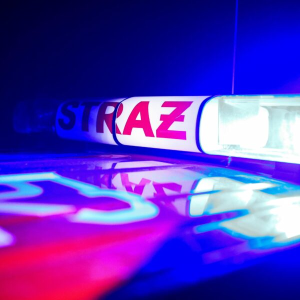 Polskie życie 44 Rodzinie Nawrockich i trasowaniu cebulowemu towarzyszy cień fałszywego alarmu. Jakie…