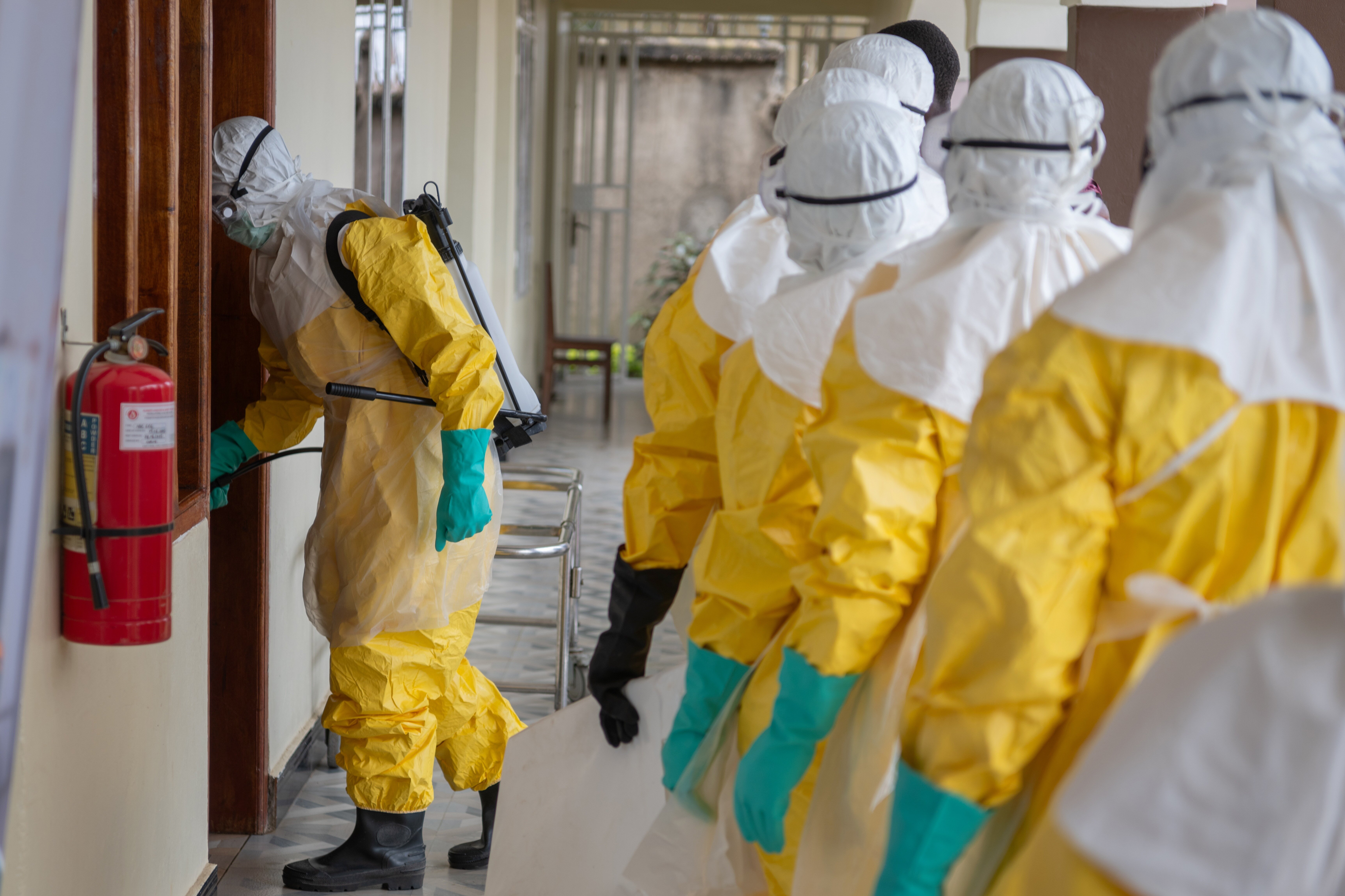 Polska w obliczu Eboli – gotowość w opinii prof. Krzysztofa Pyrcia 2