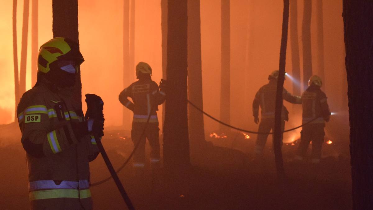 Strażacy w akcji gaśniczej w płonącym lesie, w tle gęsty dym i pomarańczowe światło ognia.