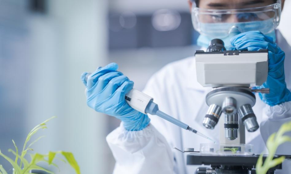 Biotech: SI i fuzje pompują akcje.