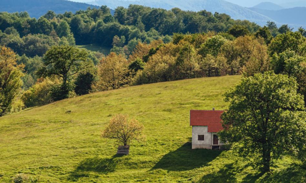 Patowa sytuacja z odwróconą hipoteką. Gwałtowny spadek średniej renty mieszkaniowej.