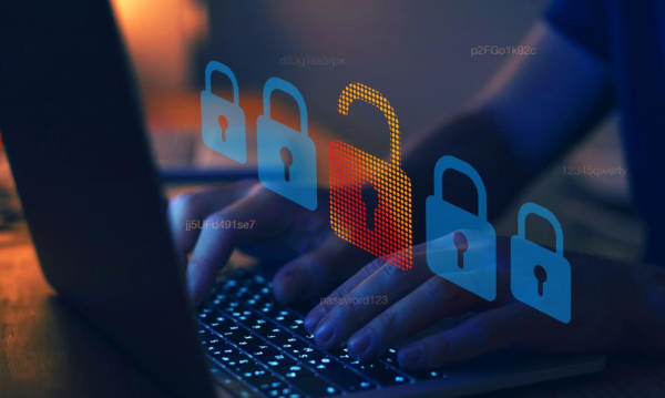 Spora redukcja w polskim Internecie. Urząd skarbowy blokuje 55 tysięcy adresów.