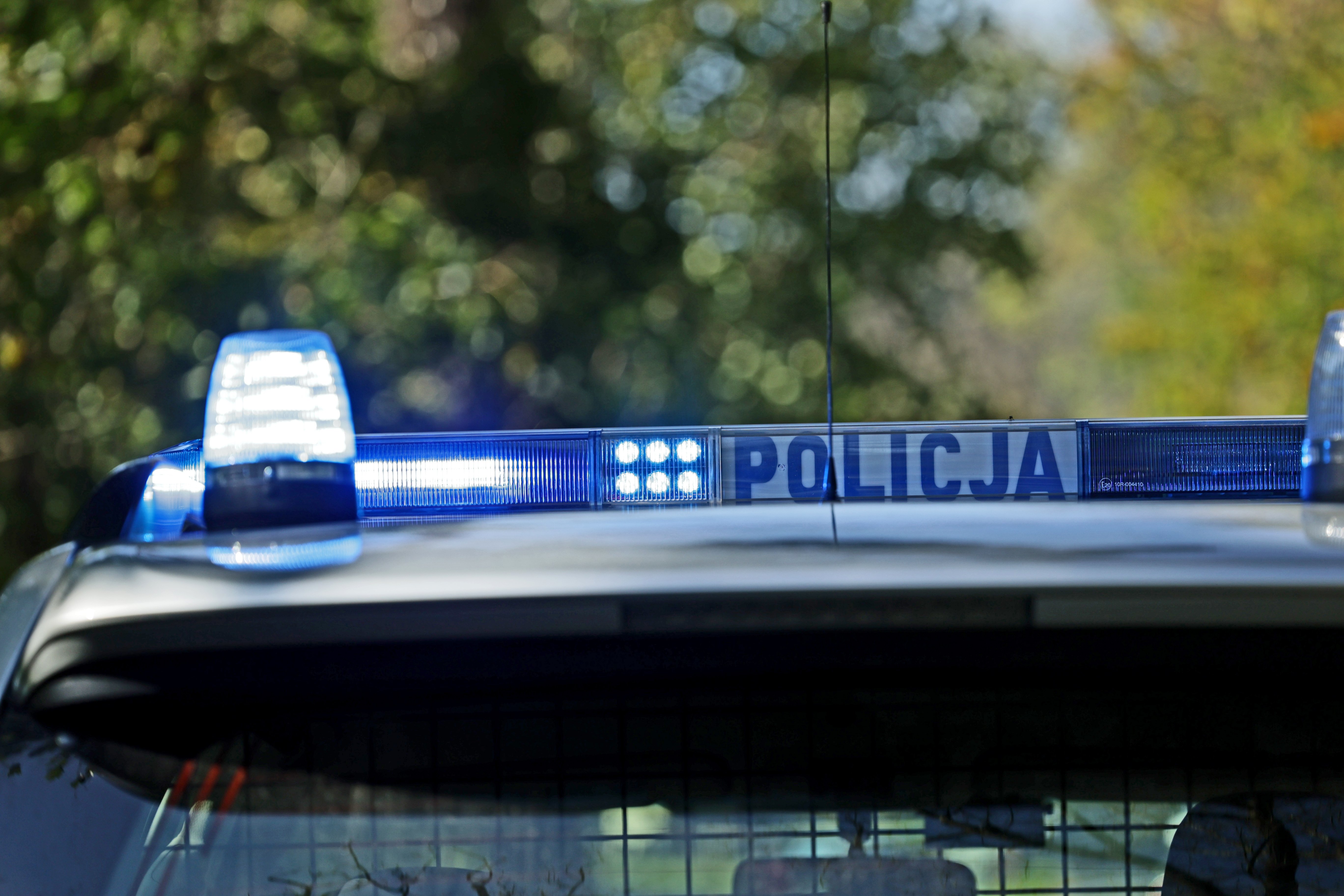 Podkarpacie: Znalezione szczątki dzieci na prywatnej posesji. Prowadzone jest dochodzenie. 2