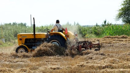 Rząd szykuje nowe przepisy dla rolników. Kary nawet do 10 lat więzienia